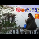 春のタナゴ沼で釣り。タナゴの釣れる沼でいろいろ釣れた、ヤバいのも釣れた～！！楽しい春の釣り♪