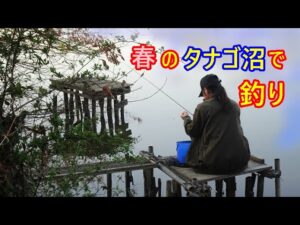 春のタナゴ沼で釣り。タナゴの釣れる沼でいろいろ釣れた、ヤバいのも釣れた~!!楽しい春の釣り♪
