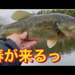 小貝川バス釣り 三寒四温との闘い！ おかっぱり バス釣り