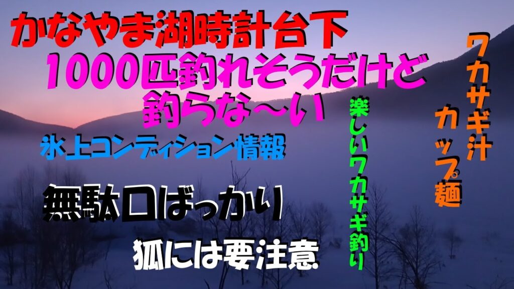 かなやま湖　ラストワカサギ釣り　時計台下　濃厚魚影もがっつかず楽しく釣りました