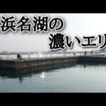【浜名湖釣り】🎣またも大失態!!ルアー損失今切れ口から表浜名湖エリアの濃いポイントへまったりランガン魚釣り🐟