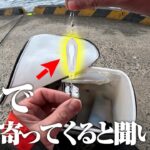 魚を寄せる魔法か？謎の発光体つきサビキで釣りしてみたら…良型のアジが猛烈に連発した件