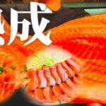 釣ったサーモンが最高に旨くなる『熟成』の方法をいろいろ試してみた