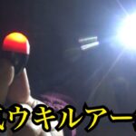 夜の浜名湖で電気ウキルアー釣り🔥
