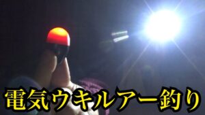 夜の浜名湖で電気ウキルアー釣り🔥