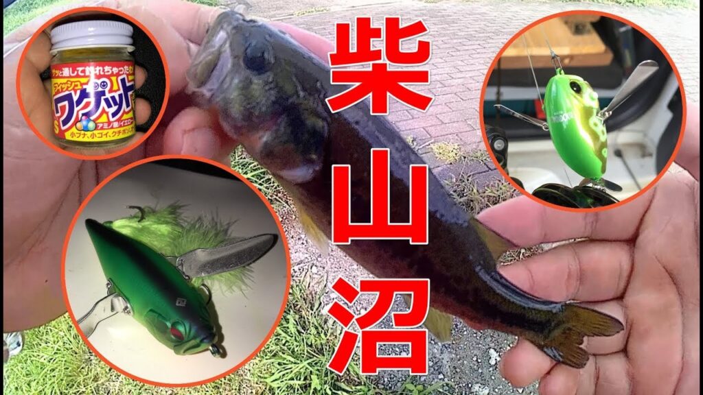 初秋の柴山沼でバス釣り！ダッジからワゲットまで投げるも釣れない！