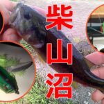 初秋の柴山沼でバス釣り！ダッジからワゲットまで投げるも釣れない！