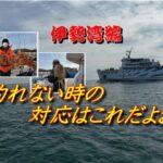 【海釣り情報】激渋で辛い伊勢湾を攻略するには！対策方法を公開