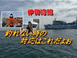 【海釣り情報】激渋で辛い伊勢湾を攻略するには!対策方法を公開