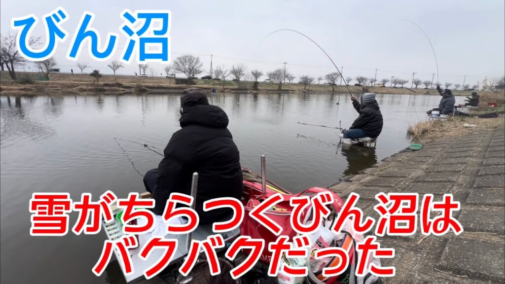 びん沼へらぶな釣り！雪がちらつくびん沼はへらぶな爆釣！バクバクだった！