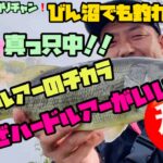 【びん沼バス釣り】春のバス釣り❗️春は巻物✨ミドスト❓クランク❓