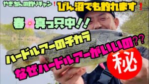 【びん沼バス釣り】春のバス釣り❗️春は巻物✨ミドスト❓クランク❓