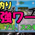 海釣り最強ワーム！！