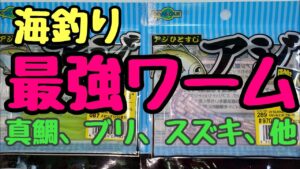 海釣り最強ワーム！！