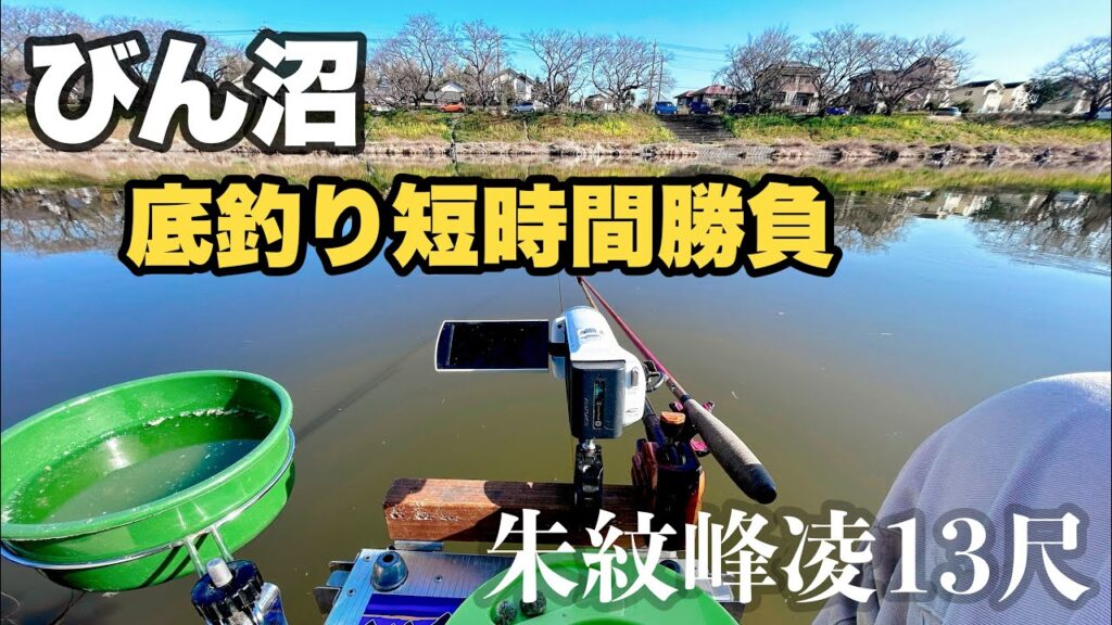 【ヘラブナ釣り】びん沼底釣り。短時間でも魚の顔が見れる季節になってきた。