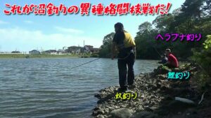これが沼釣りの異種格闘技戦だ！ブラックバス！ヘラブナ！鯉！誰でもかかって来い！