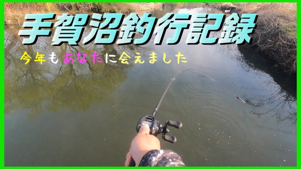 【バス釣り】手賀沼に様子見に行ったらバスに会えました。　＃へドン　＃トップウォーター　＃手賀沼