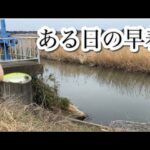 もしかして一年中通用するルアー？ バス釣り おかっぱり