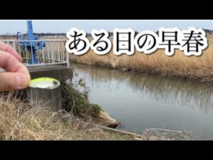 もしかして一年中通用するルアー? バス釣り おかっぱり