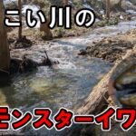 ちっこい川で大物釣り上げるという渓流ロマン【渓流 ルアー】