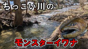 ちっこい川で大物釣り上げるという渓流ロマン【渓流 ルアー】
