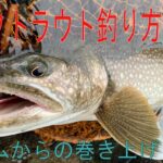 【中禅寺湖】レイクトラウト釣り方（ボトムからの巻き上げ）#ルアーフィッシング  #中禅寺湖  #釣り #レイクトラウト