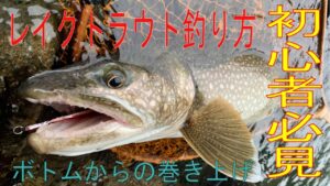 【中禅寺湖】レイクトラウト釣り方（ボトムからの巻き上げ）#ルアーフィッシング  #中禅寺湖  #釣り #レイクトラウト