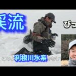 ３月の利根川渓流釣り　最新状況にびっくり
