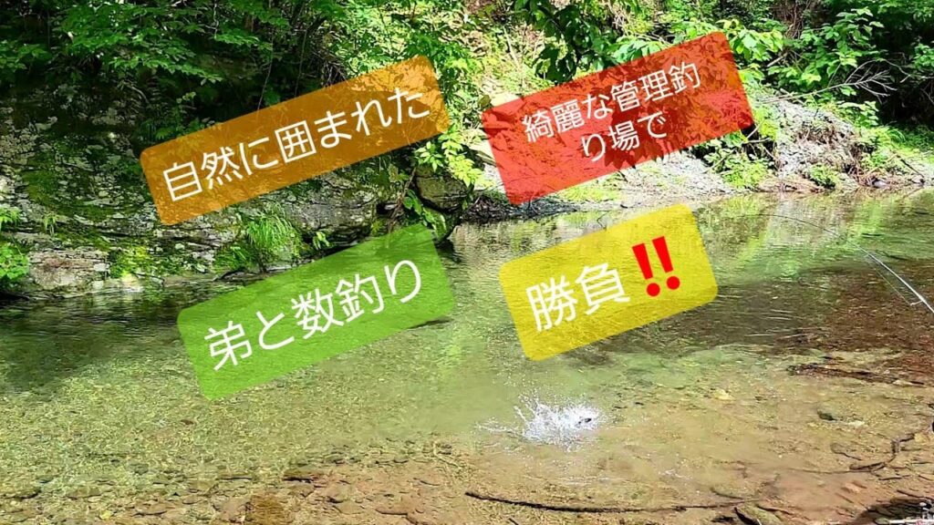 【エリアトラウト】綺麗な管理釣り場で弟と勝負‼️(赤久縄釣り場)