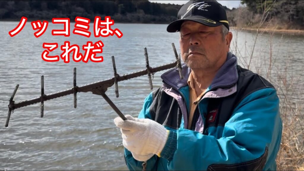 へら鮒釣り　平筒沼　ノッコミのための、場所作り　皆んな釣りやすいように