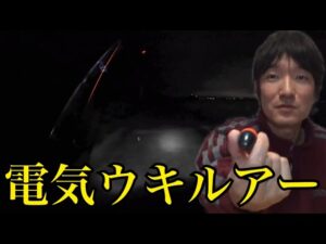 誰もいない夜の浜名湖の堤防で電気ウキルアー釣り🔥