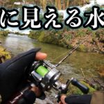 【渓流釣り】心の目では魚が見える。