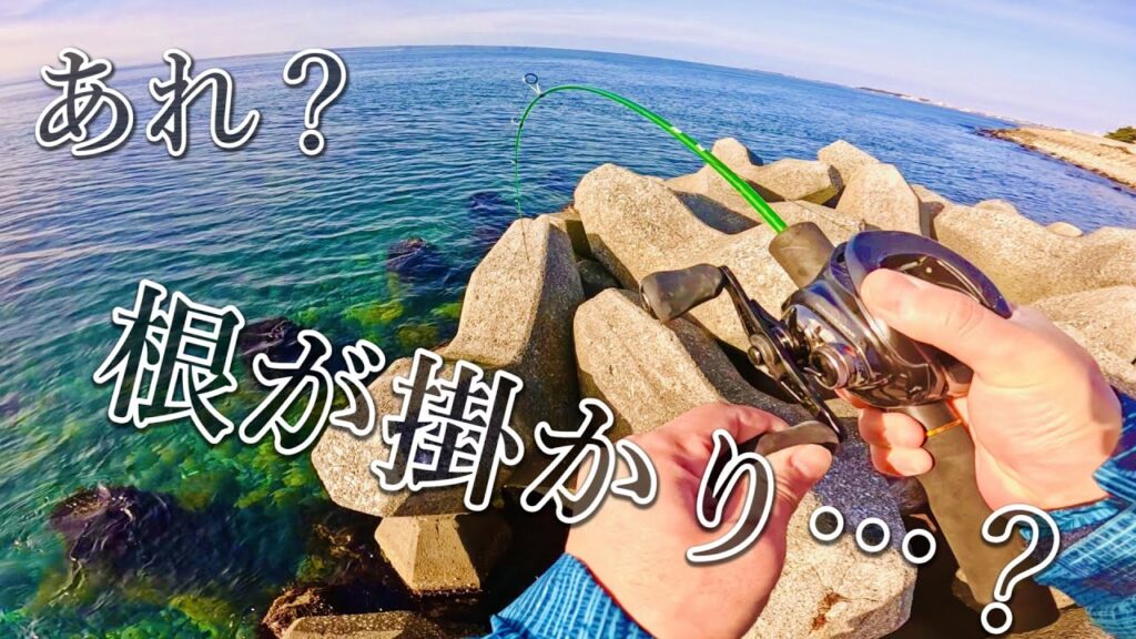 【穴釣り】冬の海攻略が楽しすぎました。