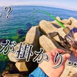 【穴釣り】冬の海攻略が楽しすぎました。