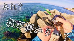 【穴釣り】冬の海攻略が楽しすぎました。