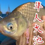 【今は無き老舗管理釣り場】釣り人の記憶に今も。メモリアル隼人大池