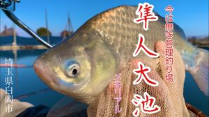【今は無き老舗管理釣り場】釣り人の記憶に今も。メモリアル隼人大池