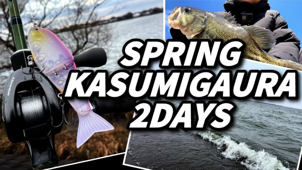 【そういうことだったのか‼︎】プロの教えにより気づけた霞ヶ浦有名エリアの新しい見方・捉え方