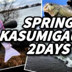 【そういうことだったのか‼︎】プロの教えにより気づけた霞ヶ浦有名エリアの新しい見方・捉え方