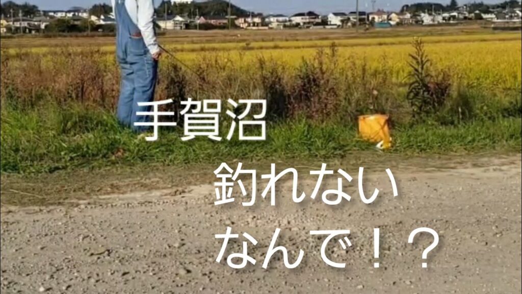 手賀沼小物釣り