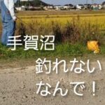 手賀沼小物釣り