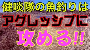 アグレッシブに攻める!!・・とは言い難い冬の川釣りで寒バヤが釣れたｗ