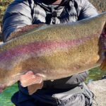 【超穴場】広大な池に巨大なサーモンがウヨウヨ泳ぐ、今この釣り場がアツすぎる！【エリアトラウト】【管理釣り場】【パインレイク鹿留】