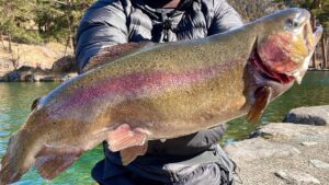 【超穴場】広大な池に巨大なサーモンがウヨウヨ泳ぐ、今この釣り場がアツすぎる!【エリアトラウト】【管理釣り場】【パインレイク鹿留】