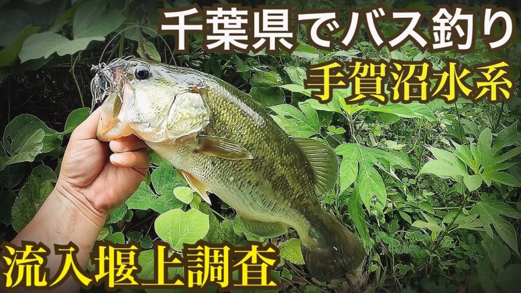 手賀沼流入河川の堰上でバス釣り