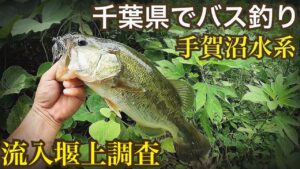 手賀沼流入河川の堰上でバス釣り