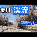 吾妻川　早春の渓流と本流をリサーチ