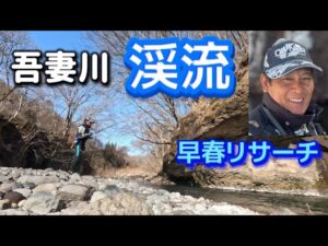 吾妻川 早春の渓流と本流をリサーチ