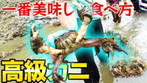 川で獲れた高級蟹が衝撃的な味だった!!