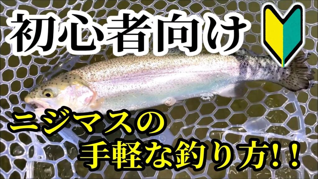 【誰でも簡単】管理釣り場のニジマスの手軽な釣り方を紹介！！　エリアトラウトはルアーフィッシング入門に最適です！！【管釣り】【釣り方】【タックル】【初心者向け】【フィッシャーリゾートしょうばら】